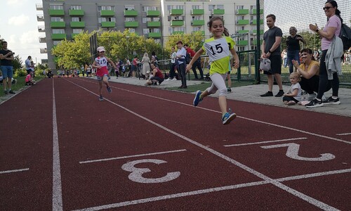 (238&nbsp;KiB)